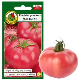 pomidor-maliniak-smaczny-soczysty-duzy-owoc-niska-uprawa-nasiona-1g
