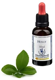 esencja-dr-bacha-nr-15-holly-ostrokrzew-kolczasty-30-ml