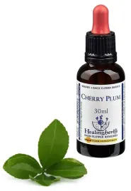 esencja-dr-bacha-nr-6-cherry-plum-sliwa-wisniowa-alycza-30-ml