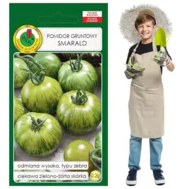 pomidor-smarald-wysoki-soczysty-i-slodki-typ-zebra-nasiona-02g