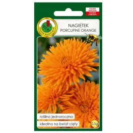 nagietek-porcupine-orange-kwiat-miododajny-jednoroczny-nasiona-05g