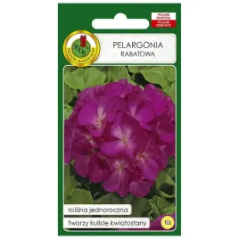 pelargonia-rabatowa-jednoroczna-f1-koloru-fioletowego-nasiona-pelargonii