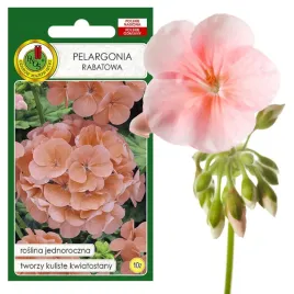 pelargonia-rabatowa-jednoroczna-f1-kolor-lososiowy-nasiona-pelargonii
