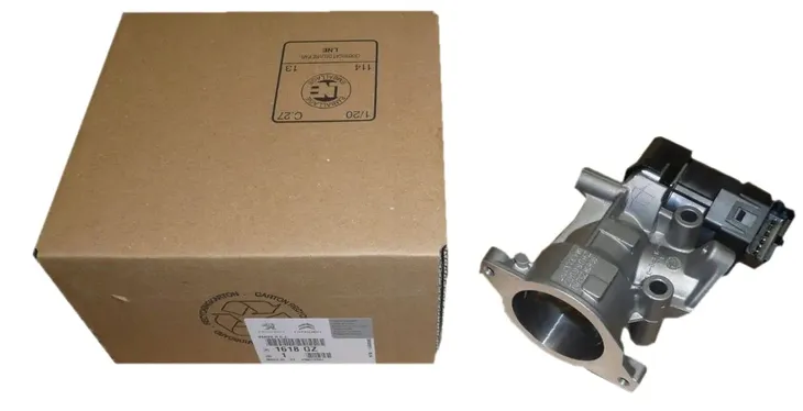zawor-agr-delphi-eg10396-12b1-typ-samochodu-autobusy-samochody-dostawcze-samochody-osobowe