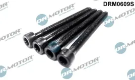 sruba-justujaca-pompa-wtryskowa-dr-motor-automotive-drm0609s