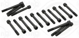 zestaw-srub-glowicy-cylindrow-elring-709-310