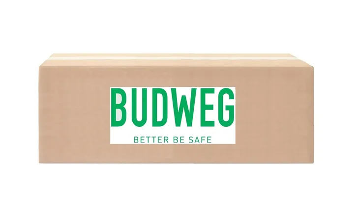 zacisk-hamulca-budweg-caliper-344927-producent-czesci-budweg-caliper