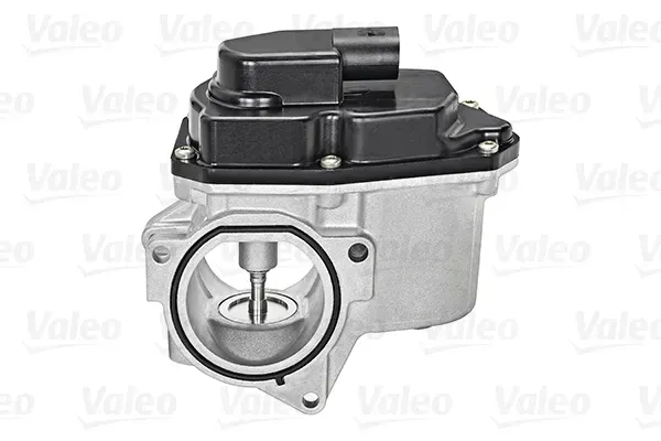 zawor-agr-valeo-700424-producent-czesci-volkswagen-oe