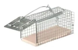 zywolapka-na-myszy-12-x-55-x-55-cm
