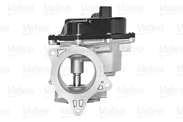 zawor-agr-valeo-700448-wersja-europejska