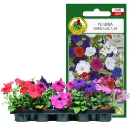 petunia-kwiaty-jednoroczne-doskonala-na-rabaty-i-kwietniki-nasiona-01g