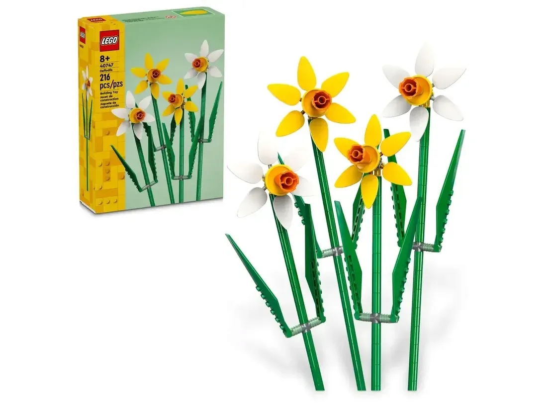 lego-zonkile-40747