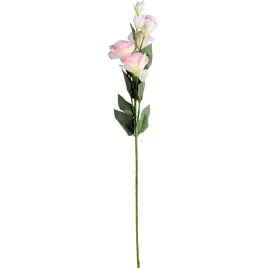 eustoma-kompozycja-6-jasnorozowych-kwiatow-o-wysokosci-80-cm