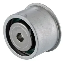 rolka-kierunkowa-prowadzaca-pasek-rozrzadu-snr-ge373-13