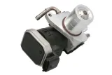 zawor-agr-delphi-eg10422-12b1-numer-katalogowy-oryginalu-general-motors-4774311