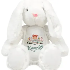 maskotka-mis-przytulanka-pluszowy-kroliczek-na-urodziny-imie-dziecka-wzory