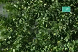 mininatur-tuft-letnie-chwasty-2-42x15-cm