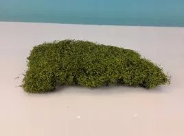 mininatur-wiosenny-zywoplot-12x14-cm