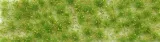 tuft-tuft-wiosenne-chwasty-1-15x4-cm-nazwa-mininatur-tuft-wiosenne-chwasty