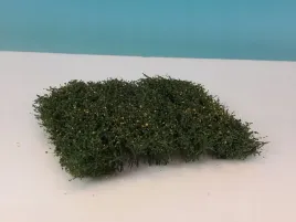 mininatur-wczesnojesienny-zywoplot-12x14-cm