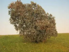 mininatur-filigranowy-krzew-wierzba-1-87-1-2-szt