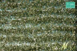 mininatur-paski-roslin-ziemniaka-kwitnacego-na-bialo-420-cm