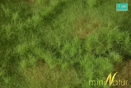 mininatur-wiosenna-zyzna-laka-30x50-cm