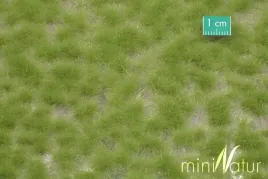 mininatur-tuft-dluga-wiosenna-trawa-1-42x15-cm