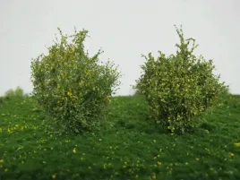 mininatur-wczesnojesienne-krzewy-5-cm-2-szt