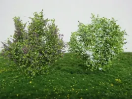 mininatur-kwitnace-wiosenne-krzewy-5-cm-2-szt