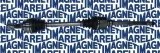 wal-napedowy-magneti-marelli-302004190050
