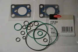 zestaw-naprawczy-systemu-common-rail-7135-553-delphi