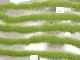 mininatur-tuft-dluga-wiosenna-trawa-w-paskach-336-cm