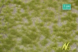 mininatur-dwukolorowe-wiosenne-tufty-2-15x8-cm