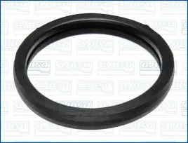 uszczelka-termostat-ajusa-00975700