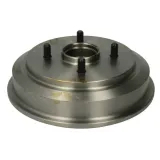 beben-hamulcowy-delphi-bf487-waga-z-opakowaniem-9-kg