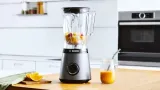 blender-kielichowy-bosch-mmb-6141s-model-mmb6141s
