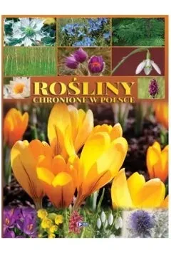 rosliny-chronione-w-polsce