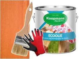 olej-do-tarasu-koopmans-ecoolie-jablon-20l