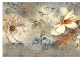 fototapeta-mural-kiwaty-mur-betonu-na-wymiar-premium