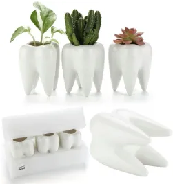 elegancki-zestaw-3x-doniczki-na-sukulenty-kaktus-bonsai-zab-trzon-biale
