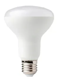 zarowka-led-grzybek-r80-duzy-gwint-e27-12w-biala-neutralna-4000k-1080lm