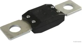 bezpiecznik-herth-buss-elparts-50295842