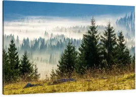 obraz-na-plotnie-mglisty-las-iglasty-gory-do-salonu-sypialni-120x80
