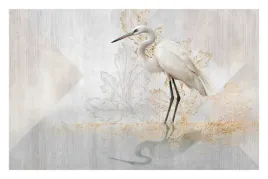 fototapeta-zuraw-natura-bialy-ptak-struktura-betonu-na-wymiar-premium