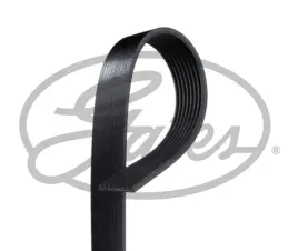 pasek-klinowy-wielorowkowy-gates-8pk2485