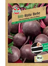 bio-burak-cwiklowy-rote-kugel-2-sturoman-nasiona-premium-sperli