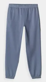 spodnie-dresowe-joggery-meskie-4f-cas-m0785-niebieskie-rozm-s