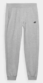 spodnie-dresowe-joggery-meskie-4f-cas-m0942-szare-rozm-l