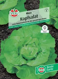 salata-glowiasta-mona-nasiona-premium-sperli
